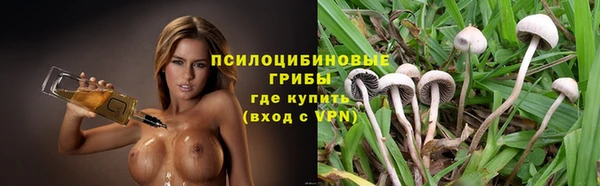 прущий лед Костерёво