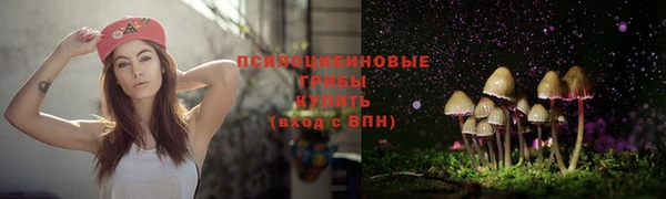 прущие крисы Коряжма