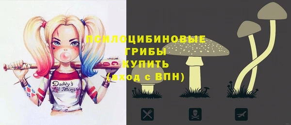 прущие крисы Коряжма