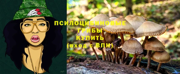 прущие крисы Коряжма