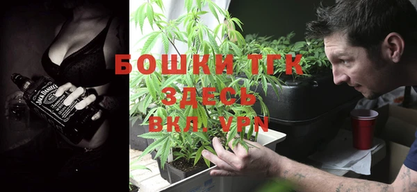 таблы Козловка