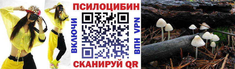 Галлюциногенные грибы Psilocybe  darknet как зайти  Кудымкар  наркошоп  blacksprut как зайти 